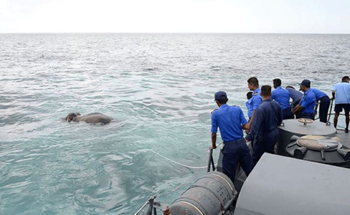 Marines coordinan maniobras de rescate en el agua