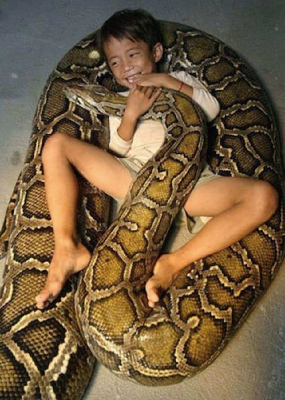 Sambath con el python